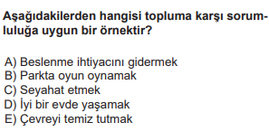 Soru Görseli
